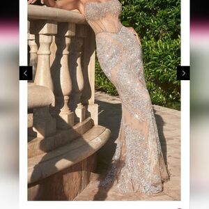 Elegant Silver and Nude Strapless Gown